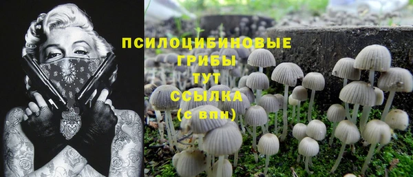 не бодяженный Абаза