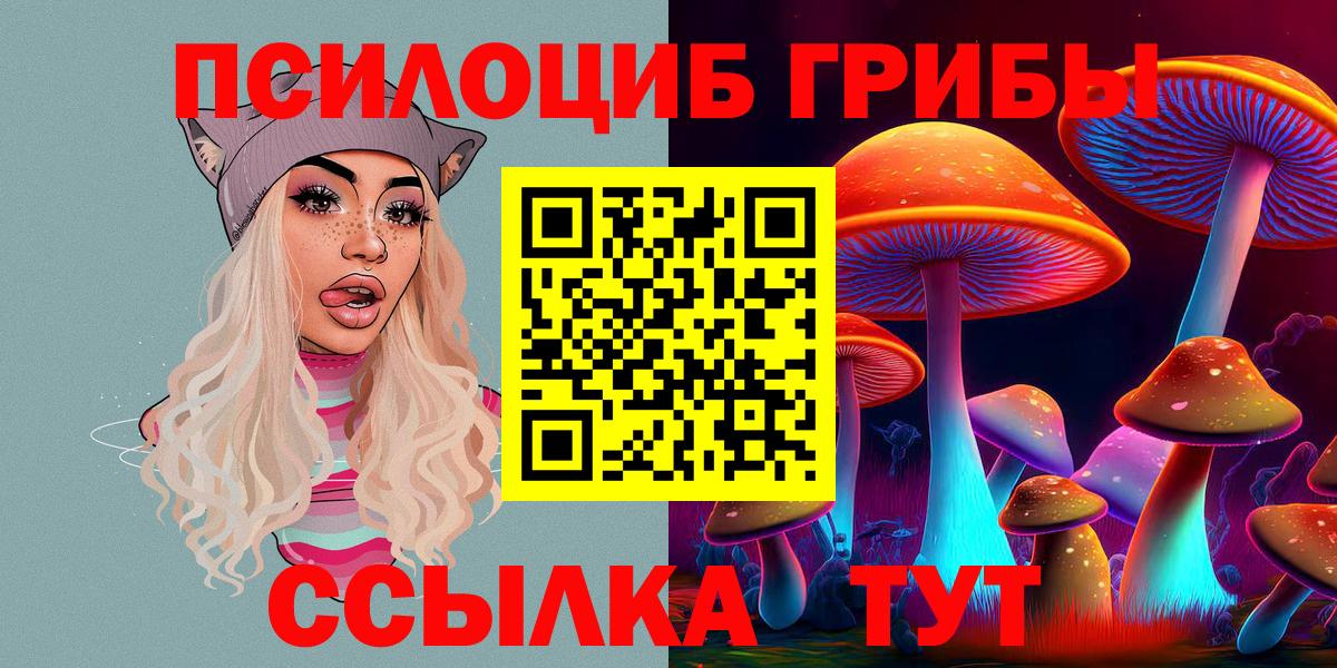 Галлюциногенные грибы Cubensis Зеленодольск