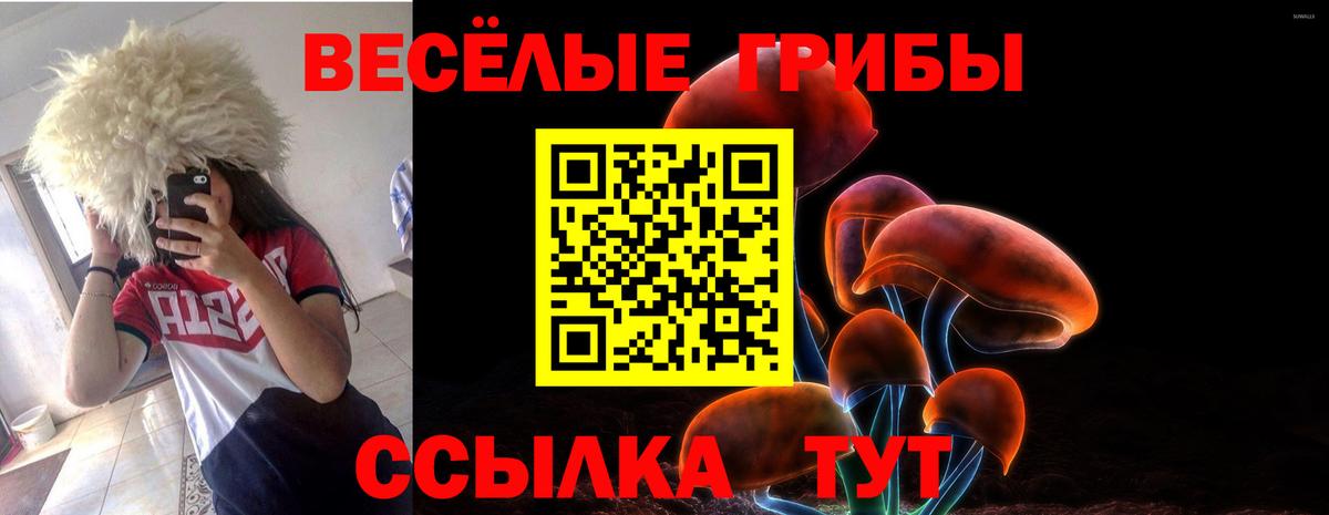 Псилоцибиновые грибы Cubensis  Вход с VPN  Зеленодольск  Галлюциногенные грибы Psilocybe 